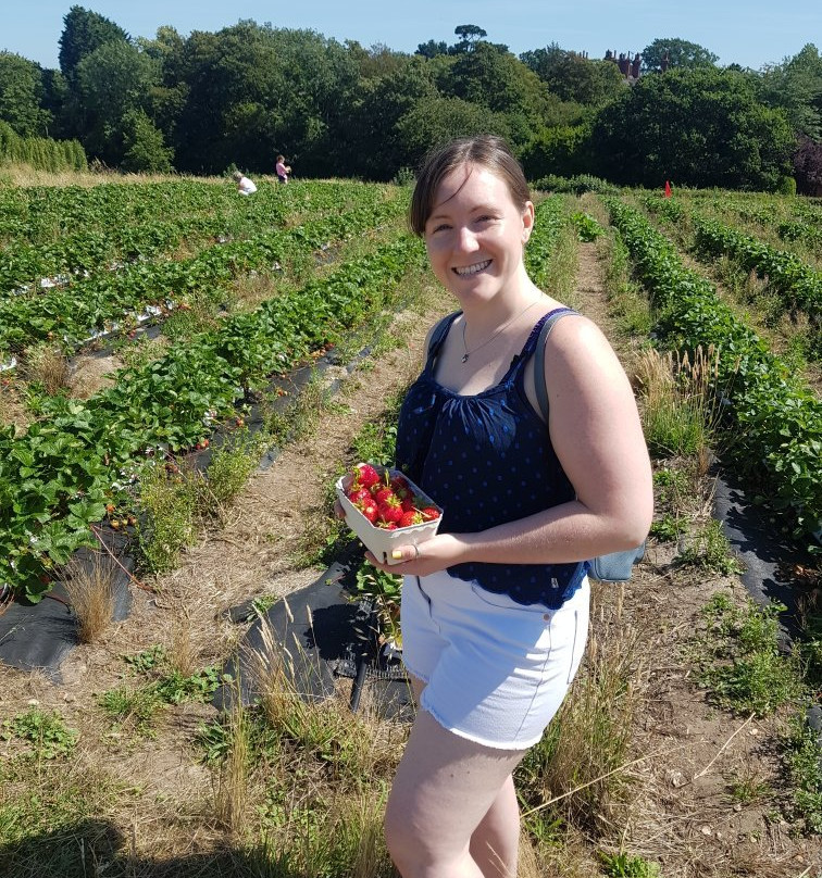 Goodall's Strawberry Farm景点图片