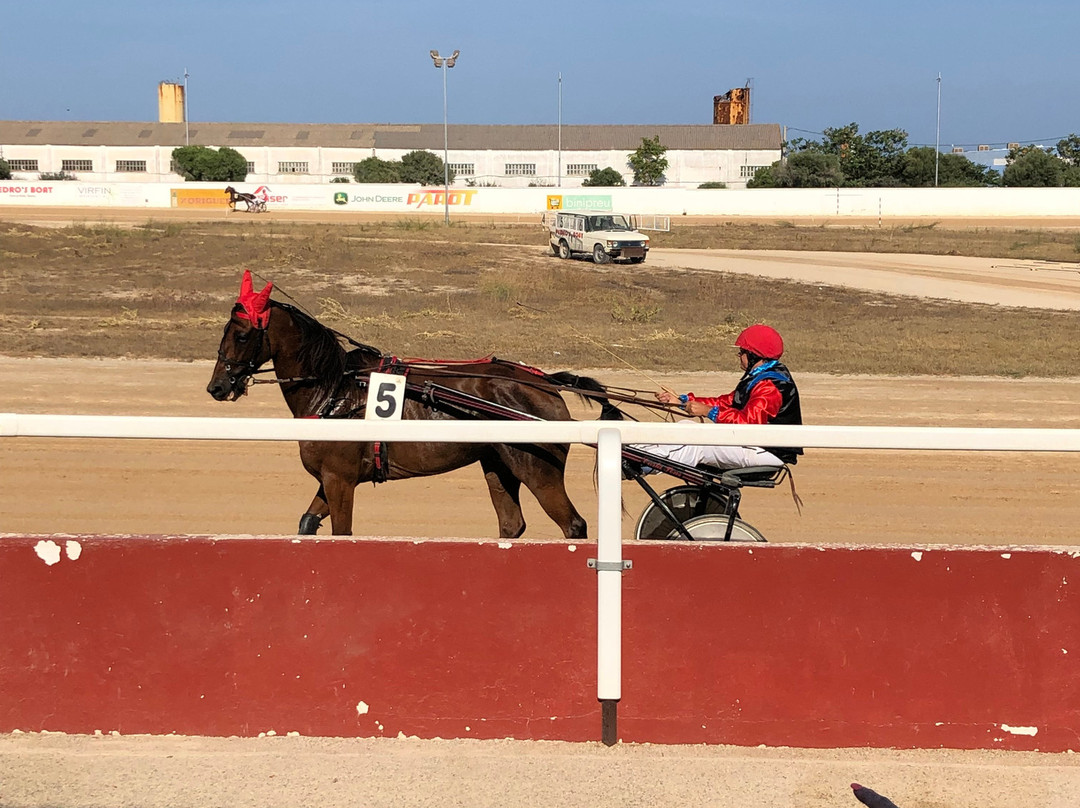 Hipódromo Torre Del Ram-米诺卡必去景点