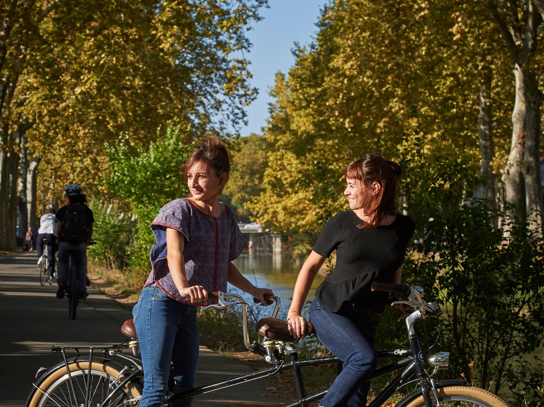 Le Canal à Vélo-图卢兹必去景点