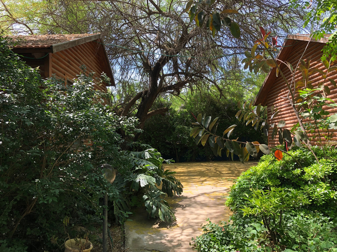 Eitan Wood Cabins