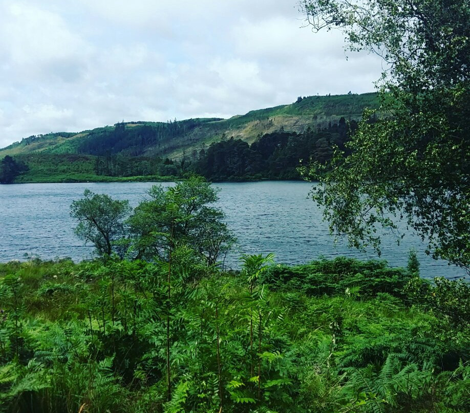 Craigmount Bed & Breakfast主图