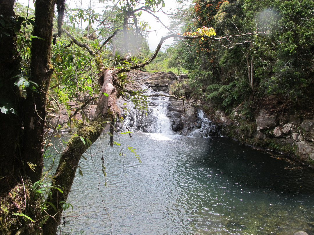 Misamis Oriental Province旅游攻略图片