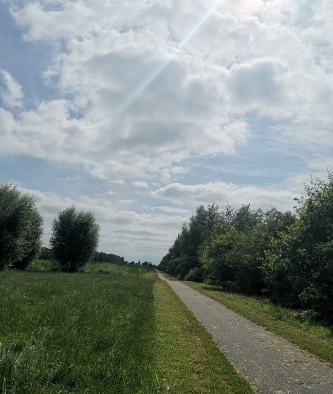 Mijdrecht旅游攻略图片