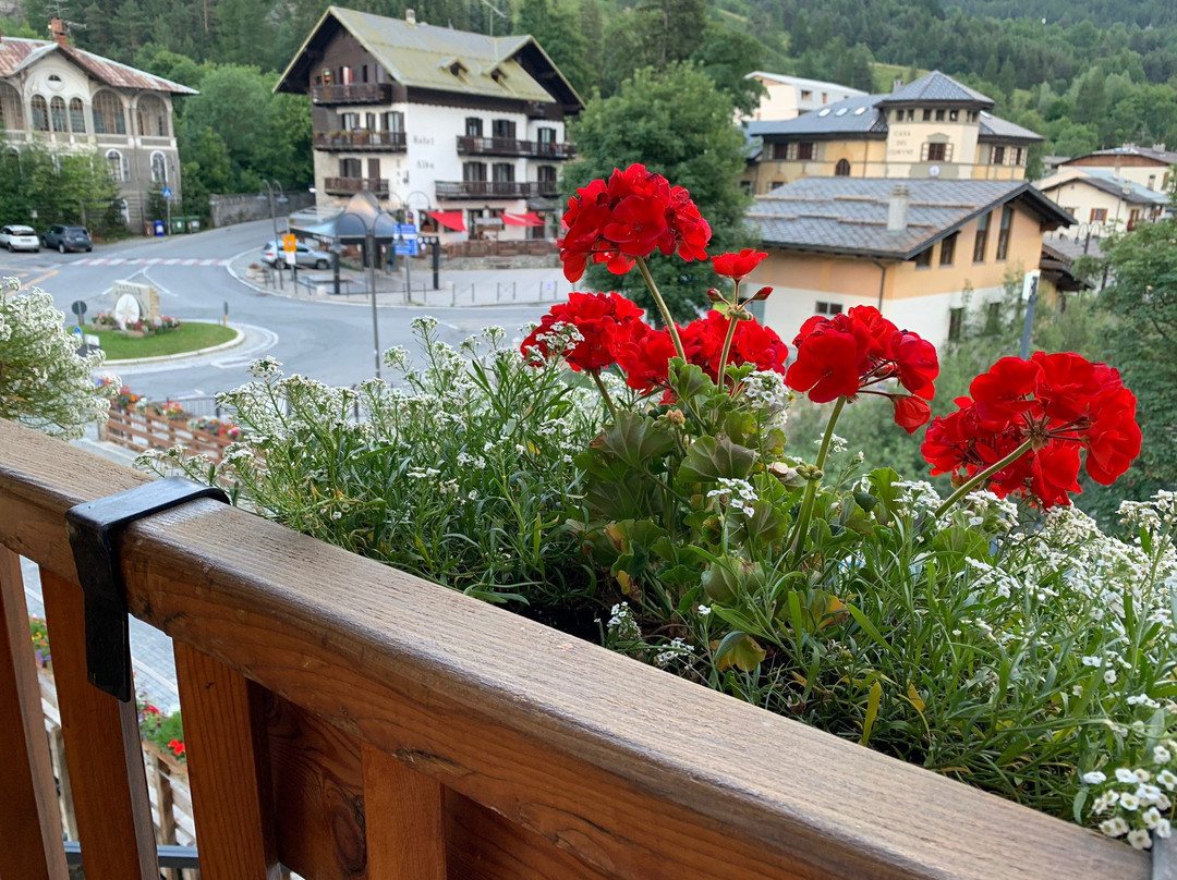 Albergo Ristorante La Ginestra主图