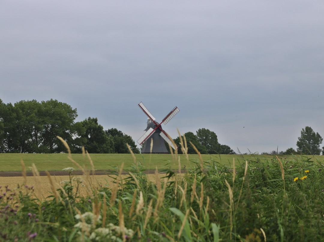 Aschwardener Mühle-Schwanewede必去景点
