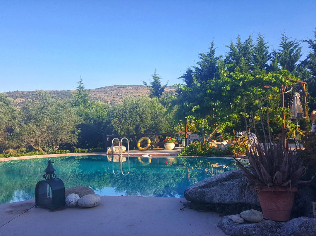 Volidiera Guesthouse主图