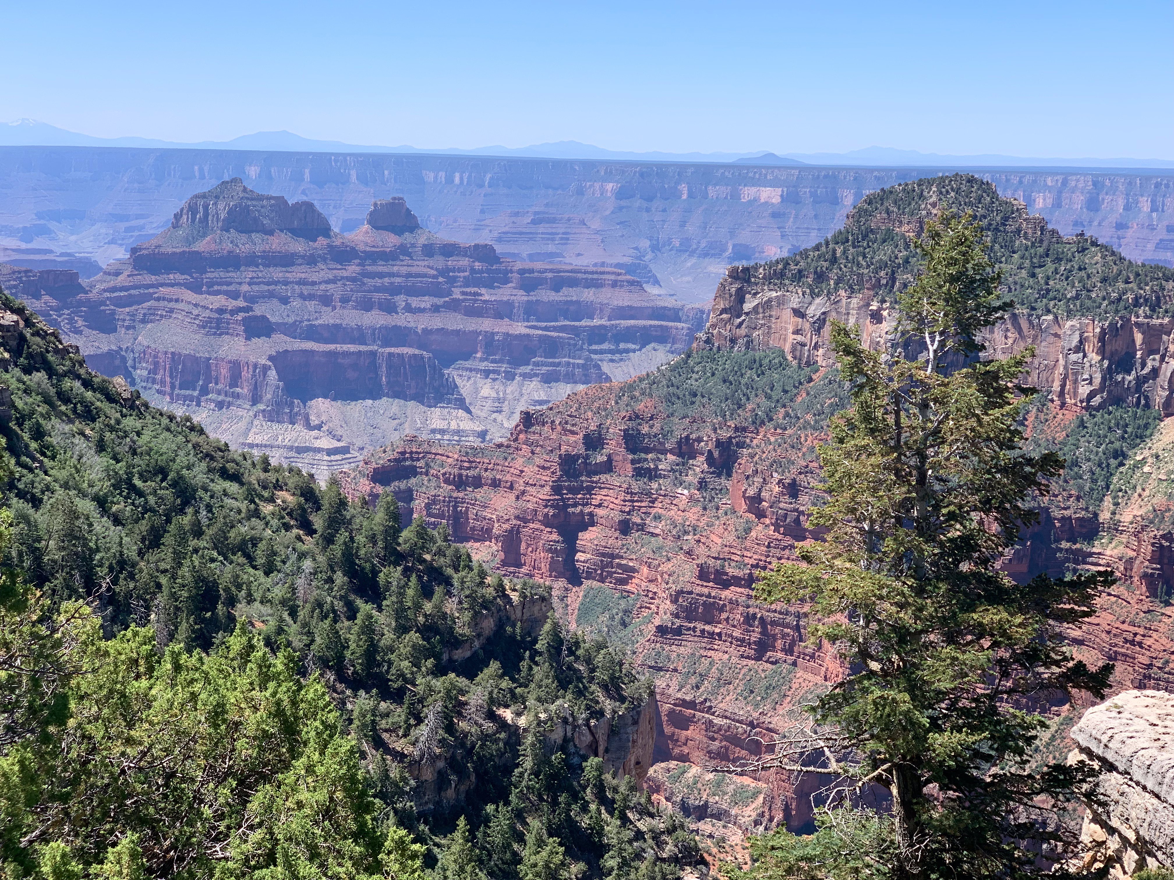 North Rim Campground-酒店景观