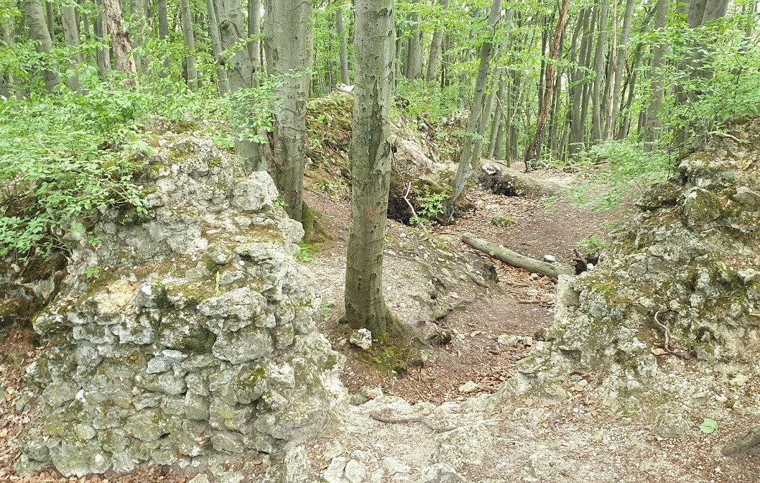 Zamek Ostrężnik景点图片