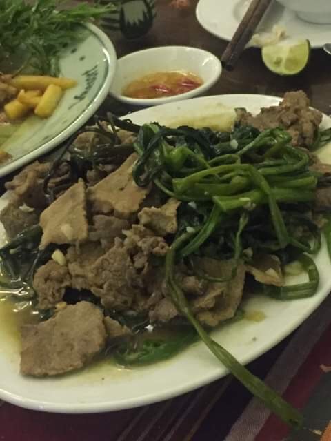 V 度假酒店-官方
