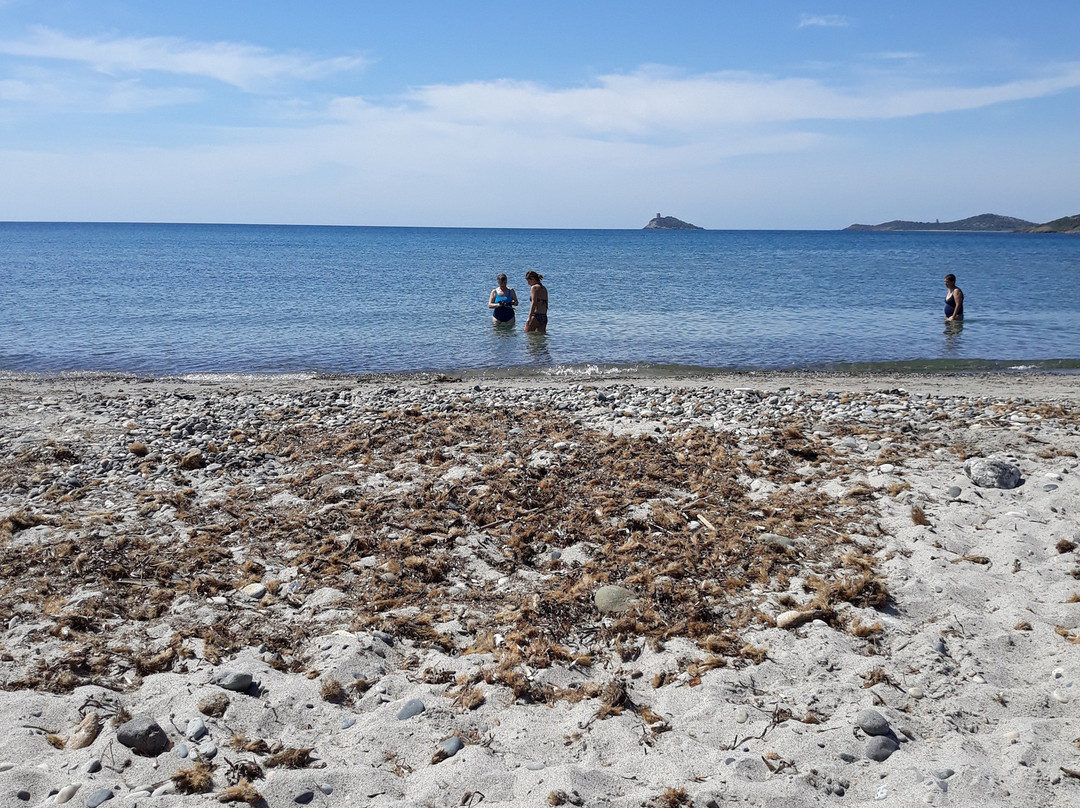 Spiaggia Di Porto Columbu-Porto Columbu必去景点
