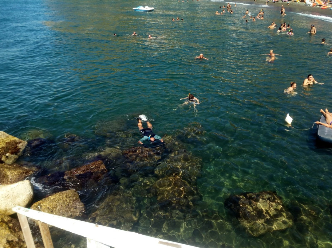 La Playa de Luca景点图片