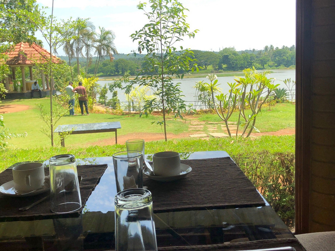 MAPS Residency主图