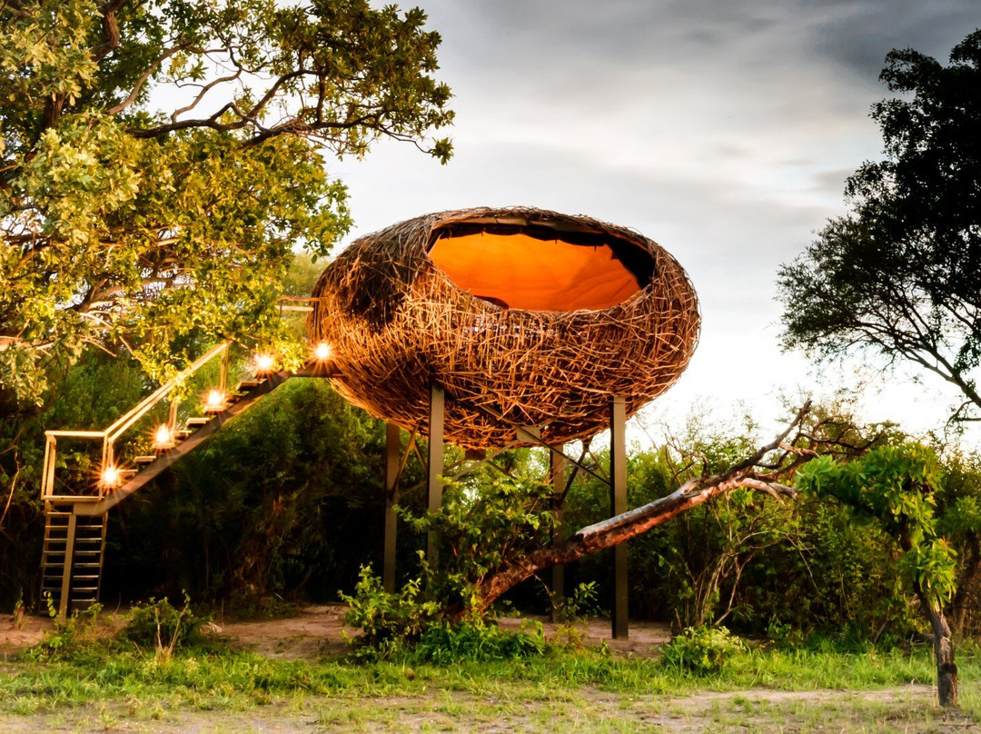 Chisa Busanga Lodge By Green Safaris
