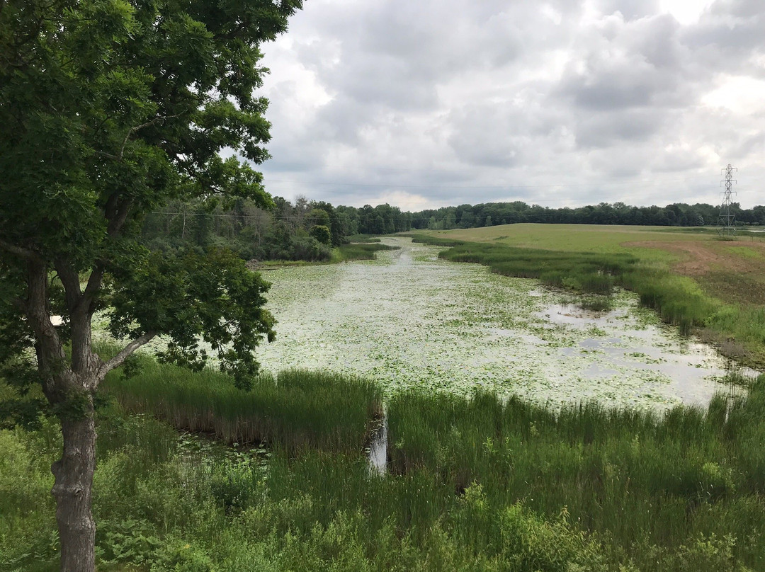 Chippewa Nature Center景点图片