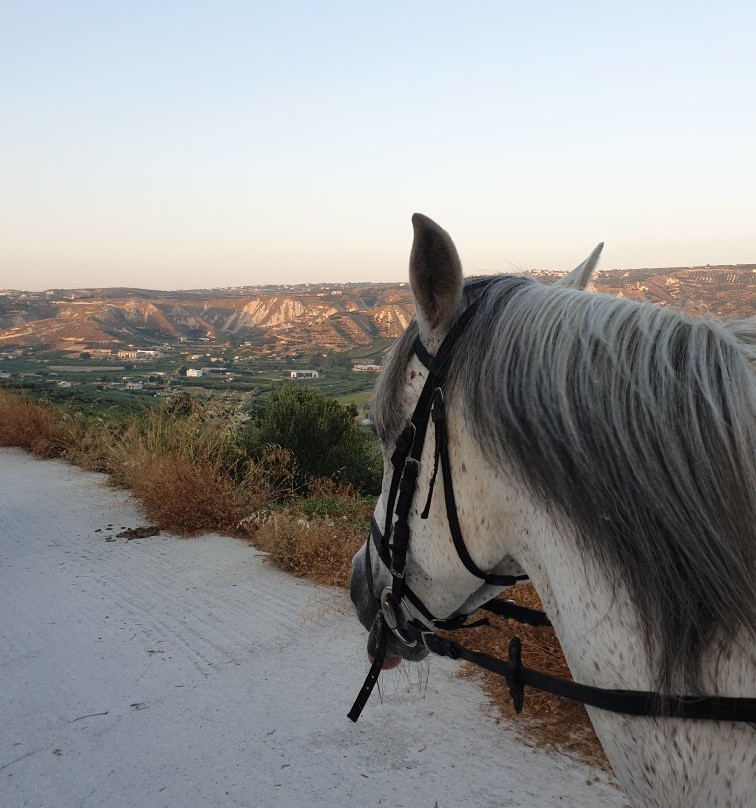 Ipposchesi-Finikia必去景点