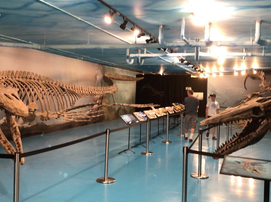 Canadian Fossil Discovery Centre景点图片