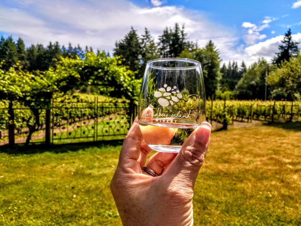 Whidbey Island Vineyards and Winery景点图片