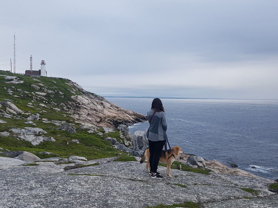 Chebucto Head Lighthouse景点图片