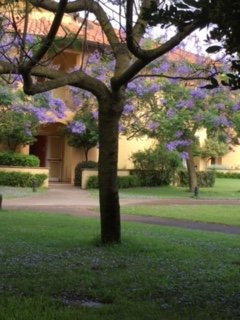 Falkensteiner Club Funimation Garden Calabria主图