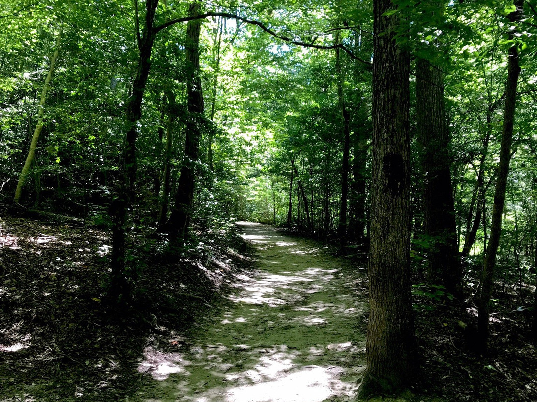 Calvert Cliffs State Park景点图片