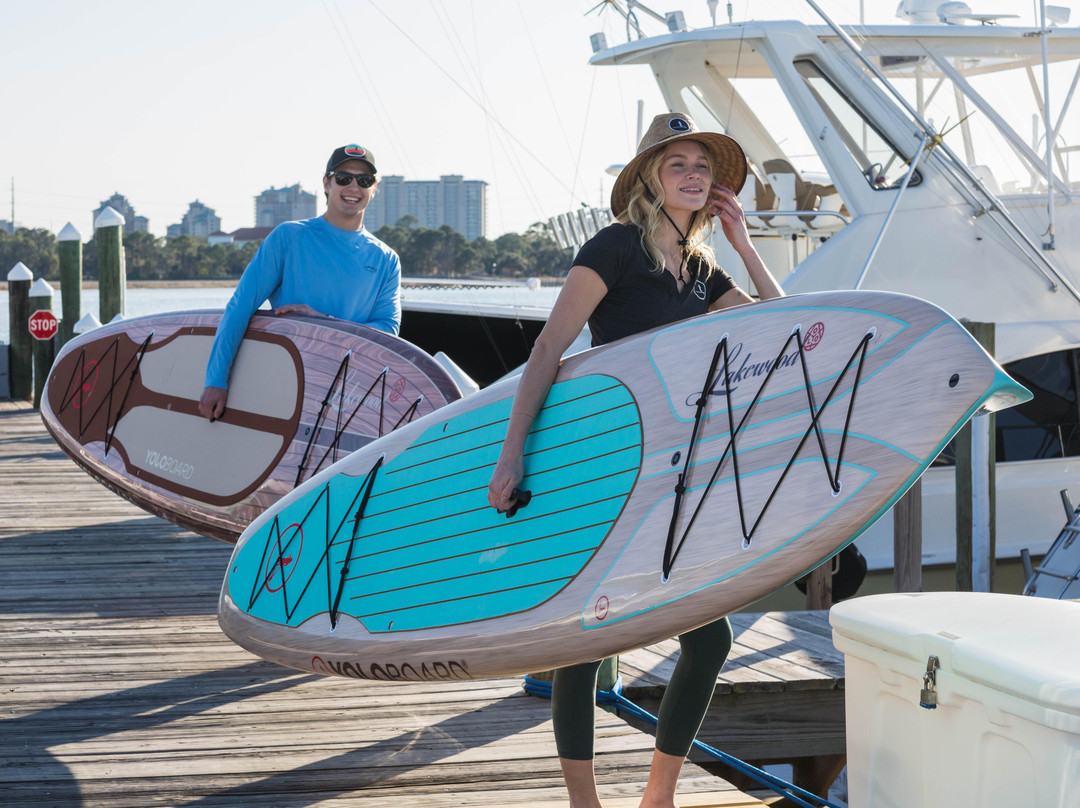 Sea Turtle SUP-Coventry必去景点