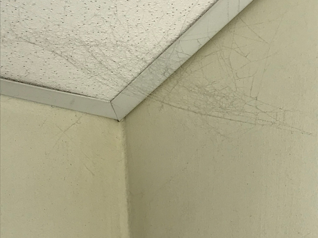 Phi Hotel Milano主图