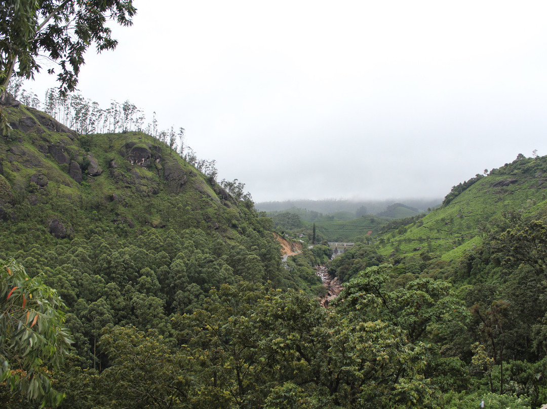 Abad Copper Castle Resort Munnar主图