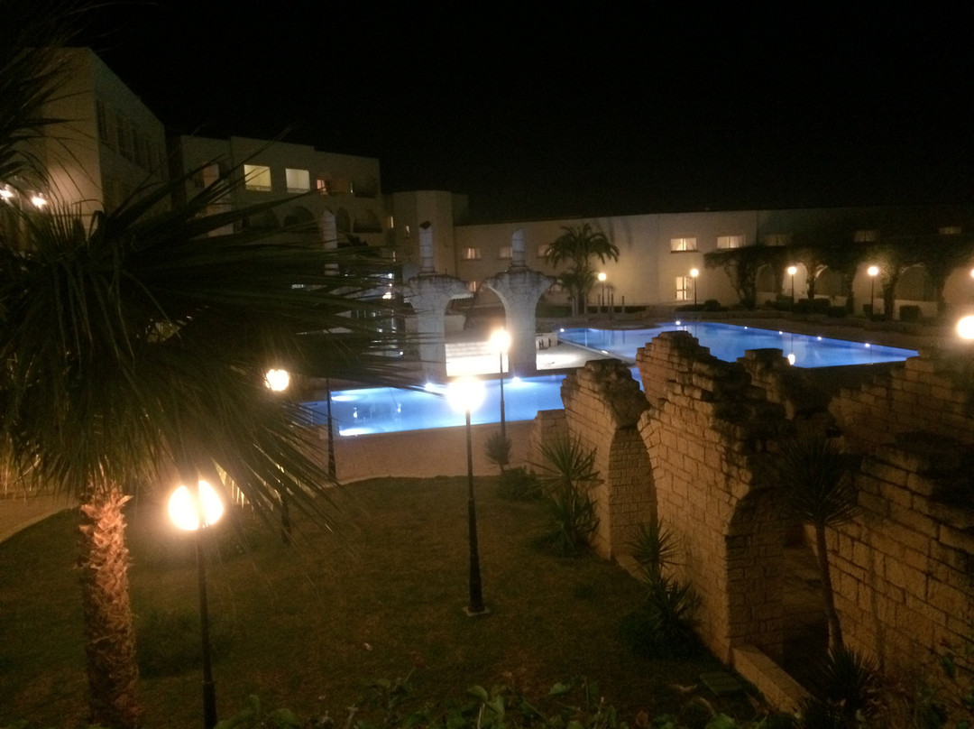 突尼斯金色郁金香迦太基酒店主图