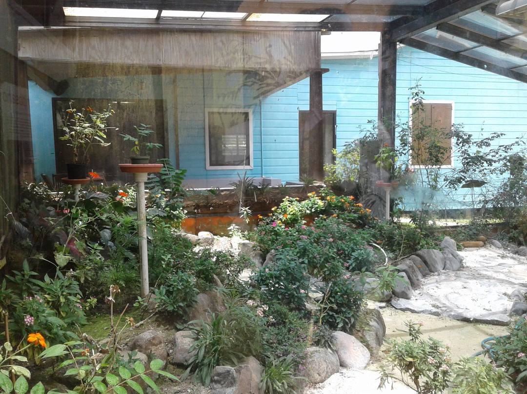 Casa Pueblo-Adjuntas必去景点