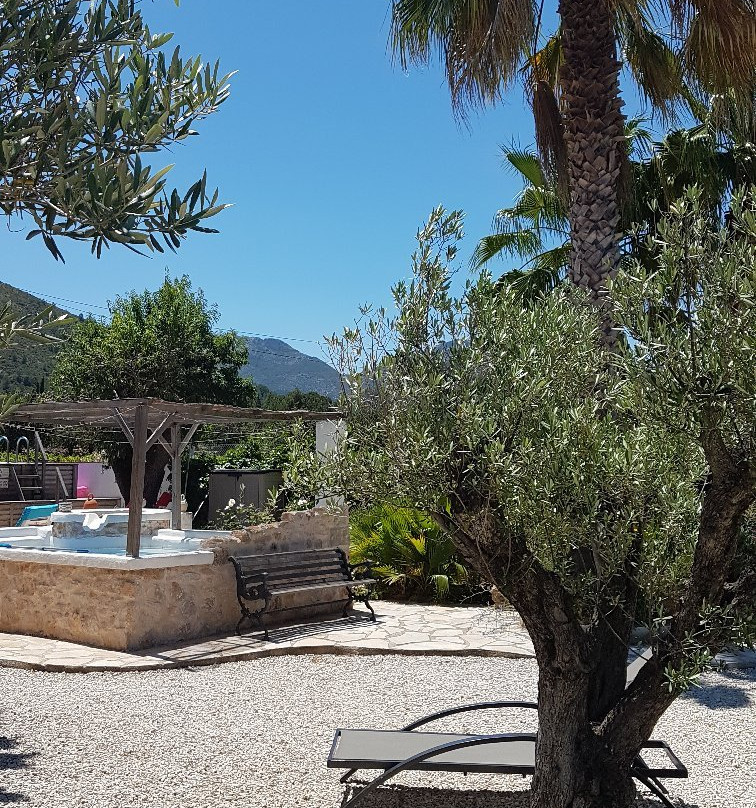 Bed & Breakfast Buena Idea主图