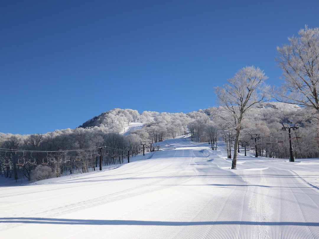 Tambara Ski Park景点图片