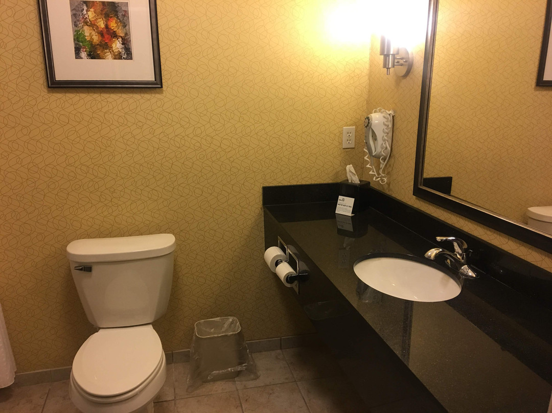 Holiday Inn Express & Suites Detroit North - Troy By IHG主图