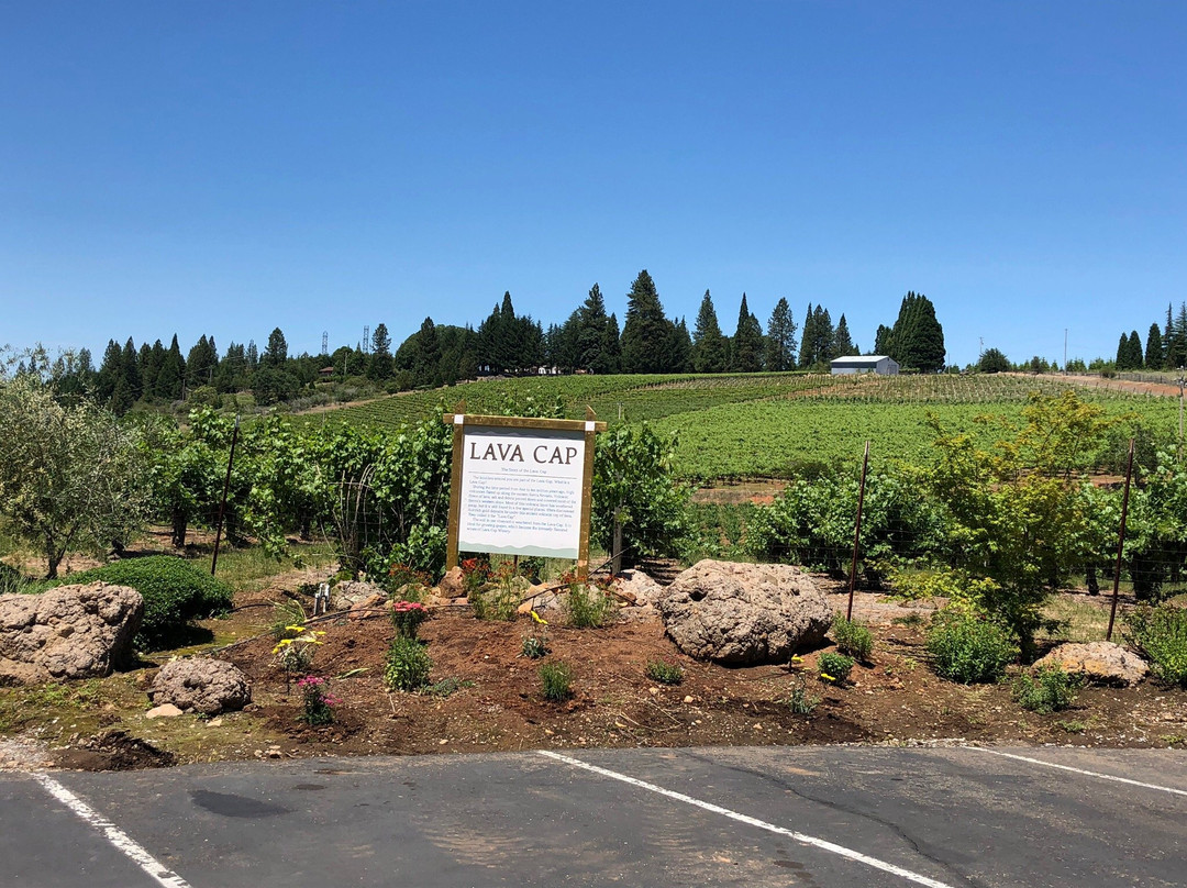Lava Cap Winery-普莱瑟维尔必去景点