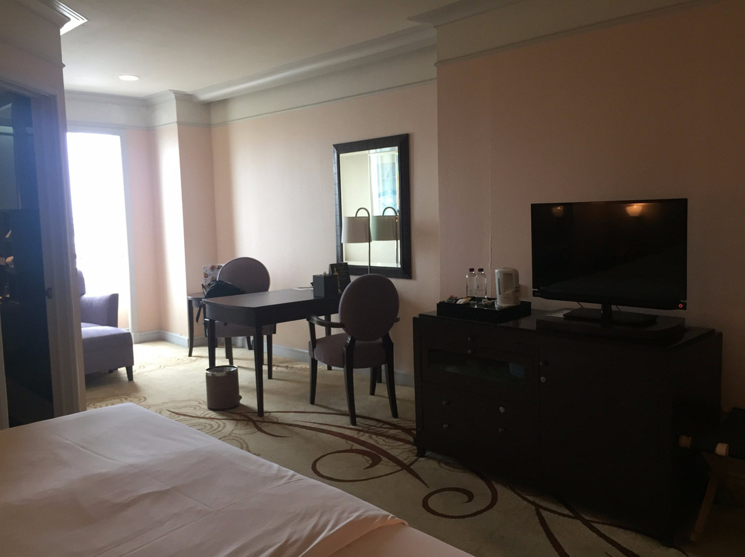 奇迹大酒店主图