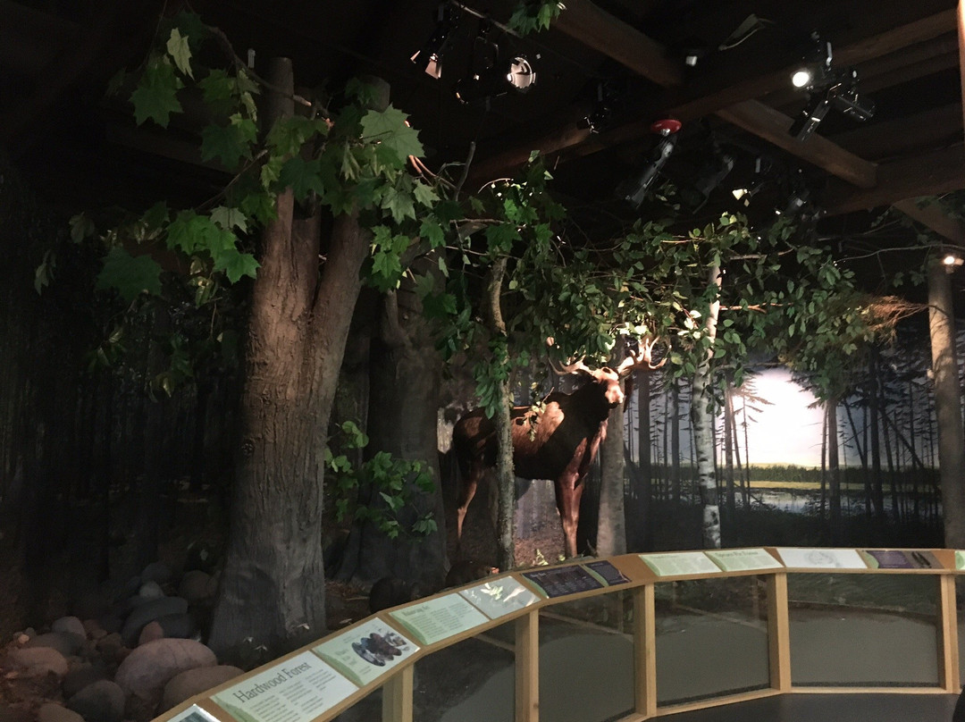 Turner Falls-Turners Falls必去景点