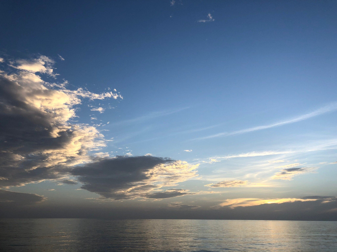 Pineapple Villas主图