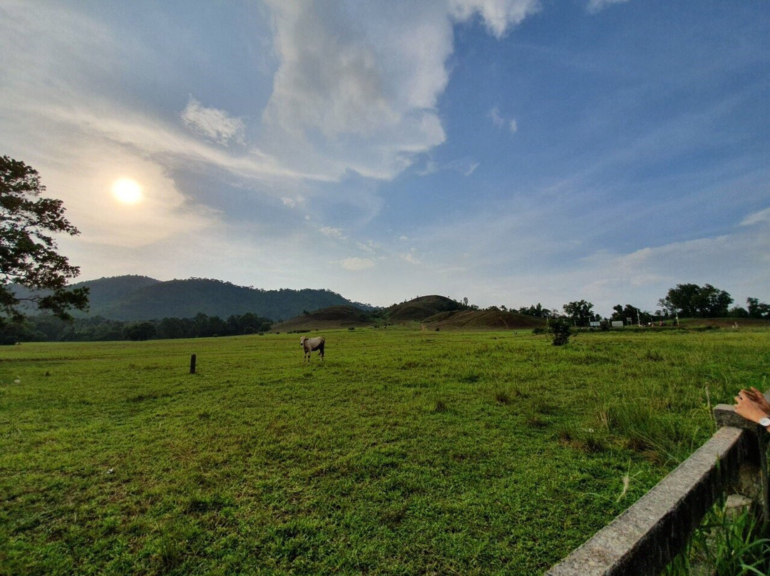 Phu Khao Ya景点图片