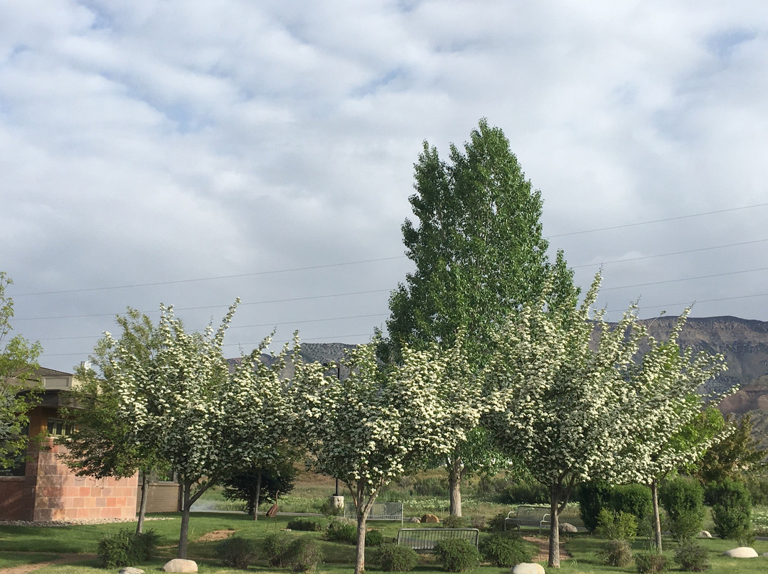 Parachute Branch Library-Parachute必去景点