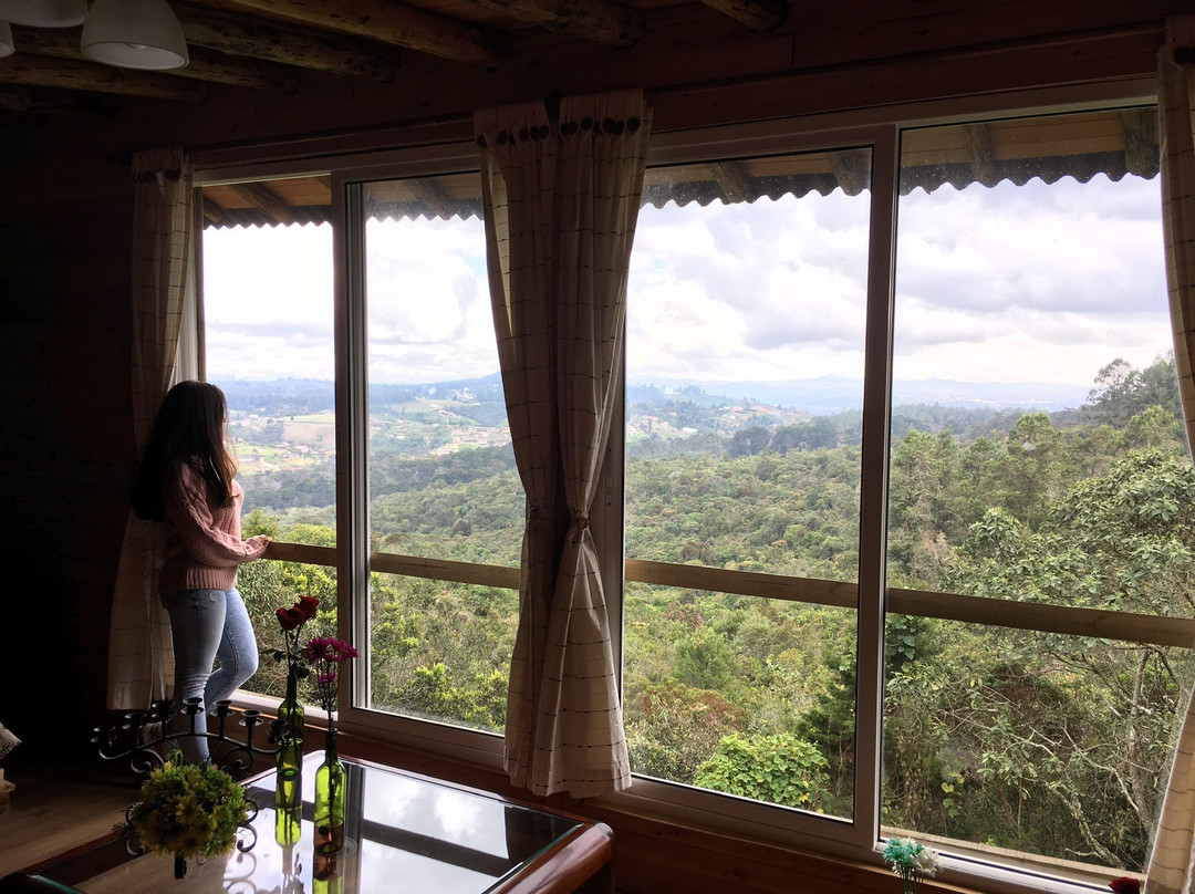 La Montana Magica主图