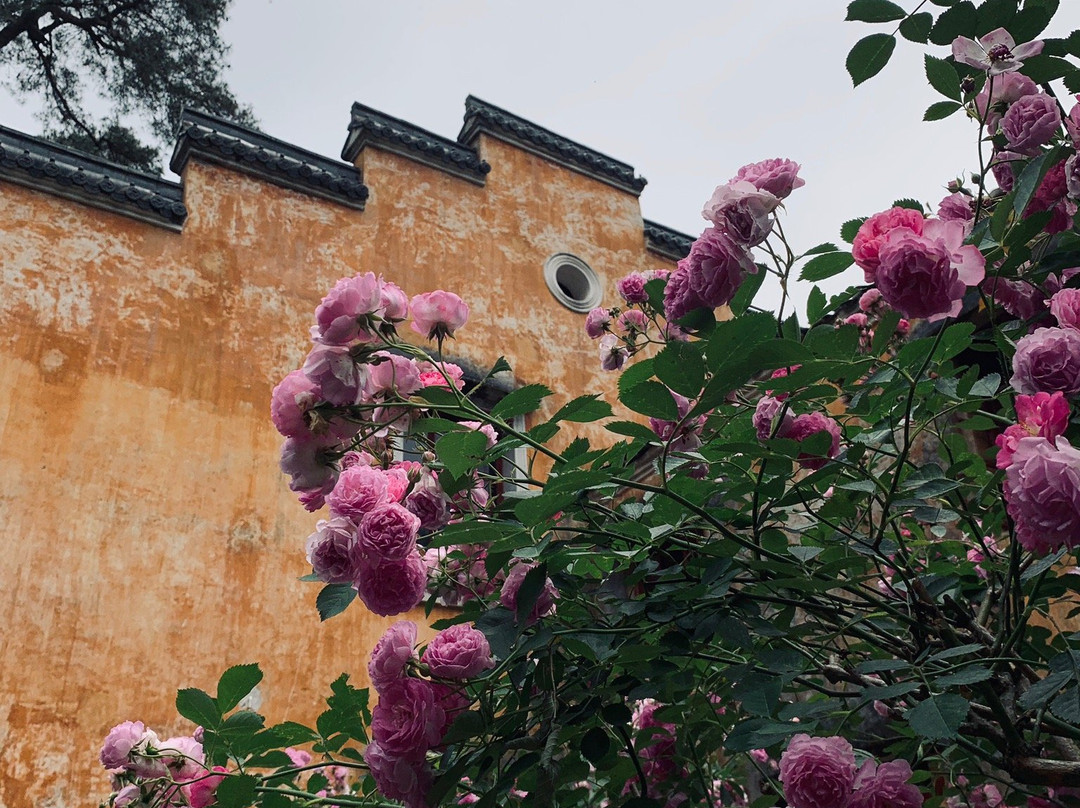 台州国清寺景点图片