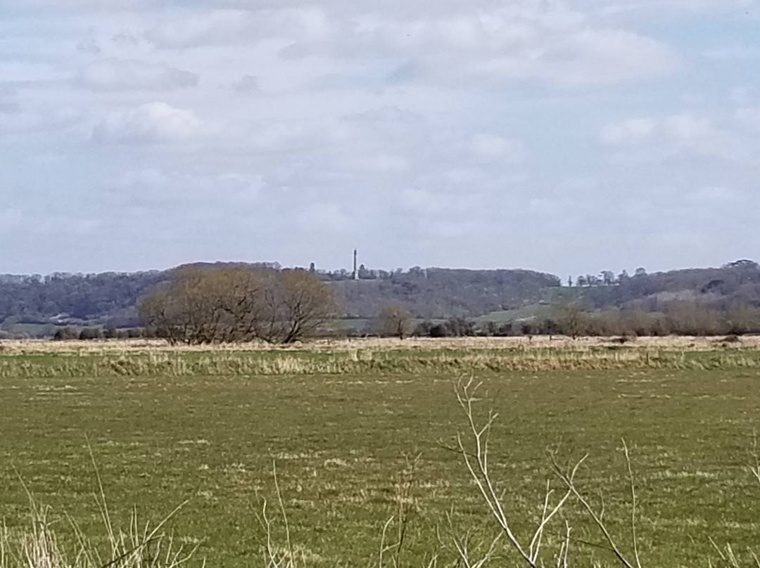 Somerset Levels and Moors景点图片