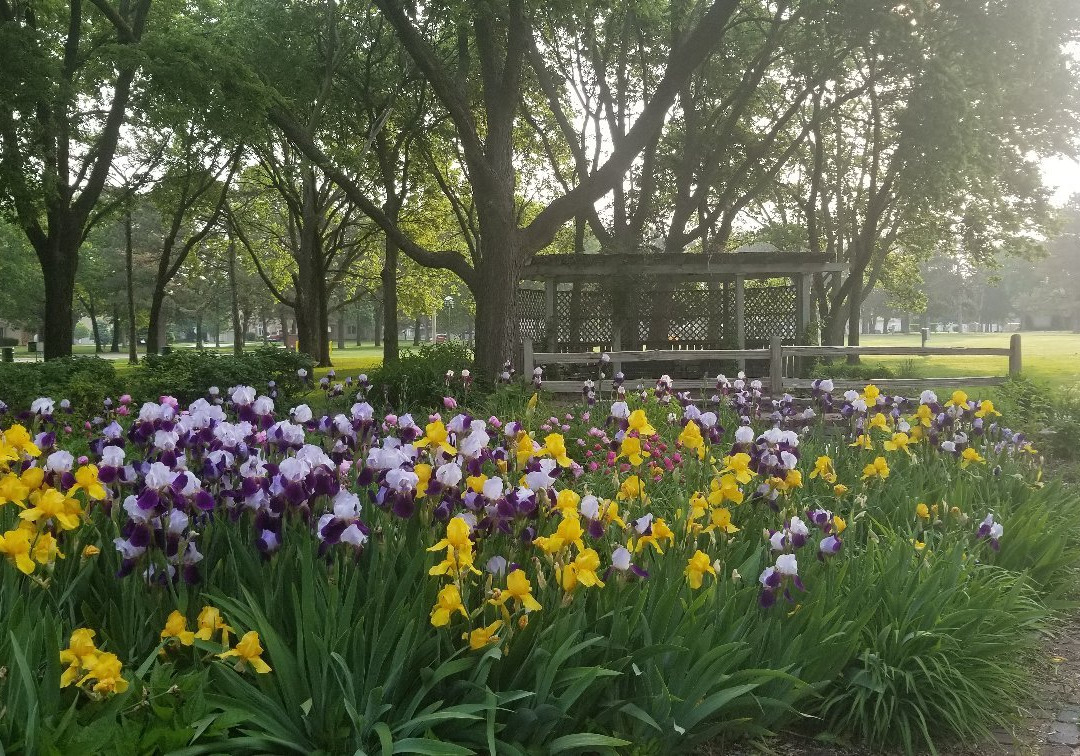 Stolley Park-格兰德岛必去景点