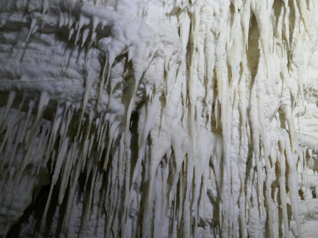 Aranui Cave景点图片