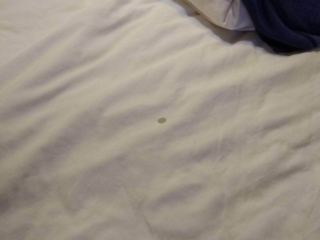 Days Inn Monmouth Junction主图