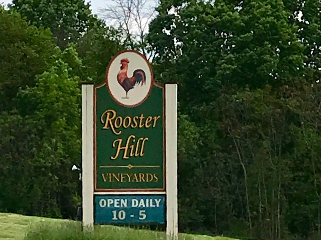 Rooster Hill Vineyards景点图片