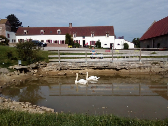 亚历克斯工厂主图