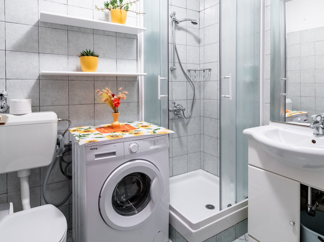 Guesthouse Sobe Silva主图