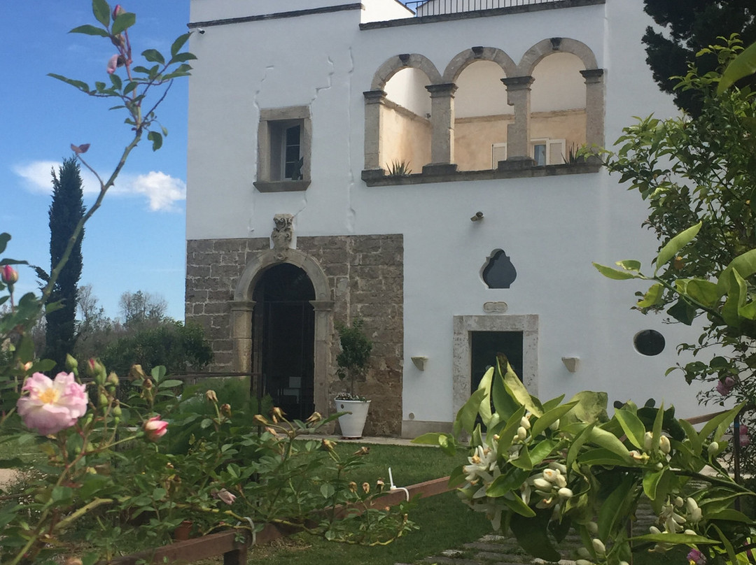 Critabianca - Masseria in Salento主图