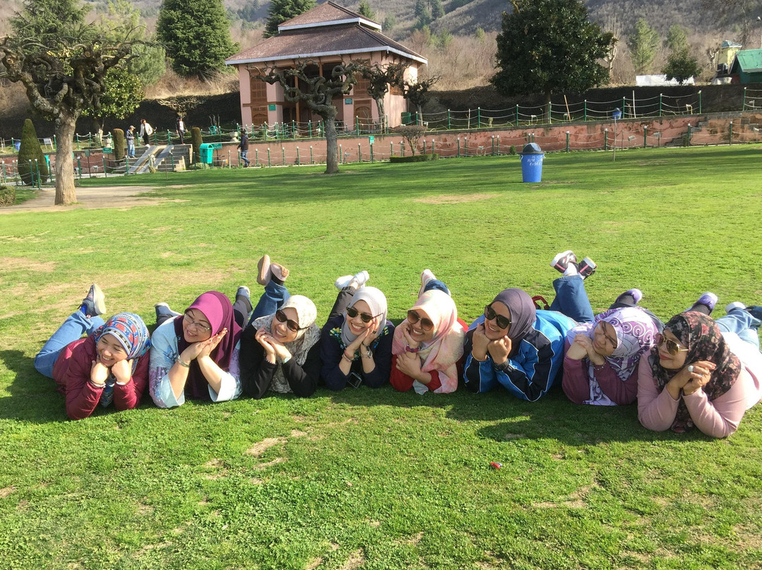Iceland tours Kashmir景点图片