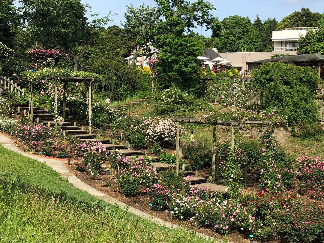 Sakura Kusabue no Oka-佐仓市必去景点